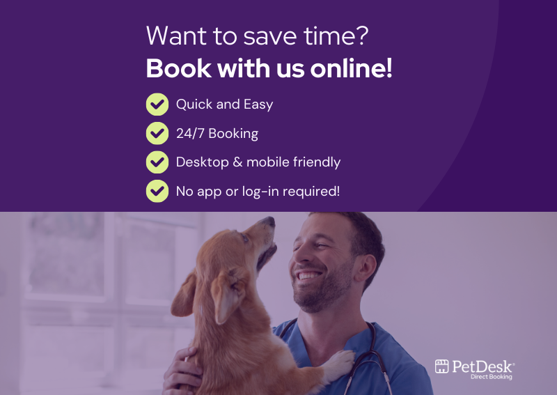 Carousel Slide 2: Book An Appointment