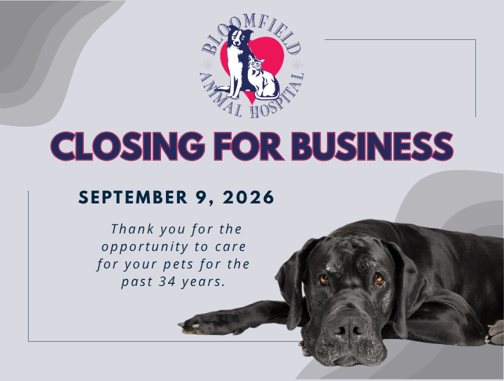 An Important Update for Our Clients
