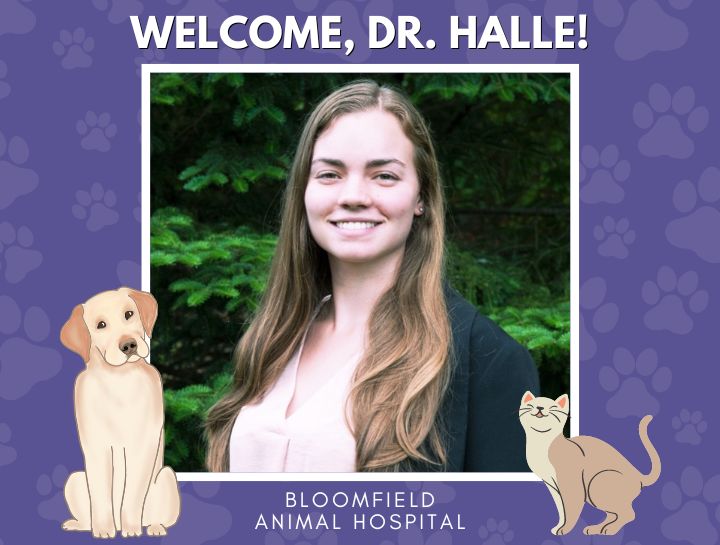 Welcome Dr. Annalise Halle!